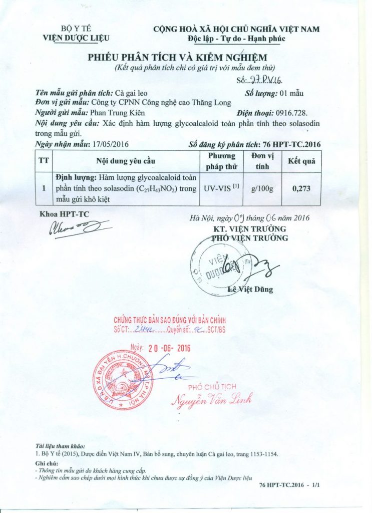 Cà gai leo SADU