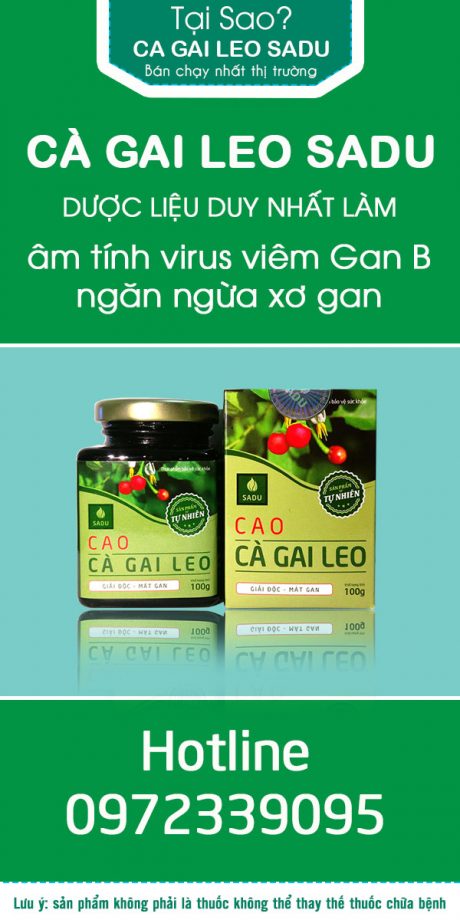 Cà gai leo SADU