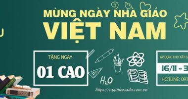 Cà Gai Leo SADU mua 3 tặng 1 nhân kỷ niệm ngày nhà giáo Việt Nam