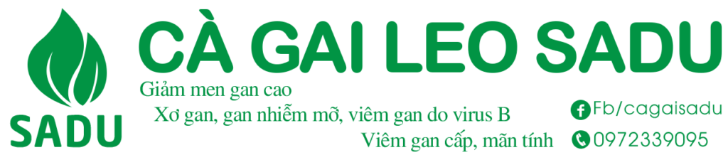Cà gai leo SADU