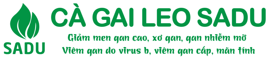 Cà gai leo SADU