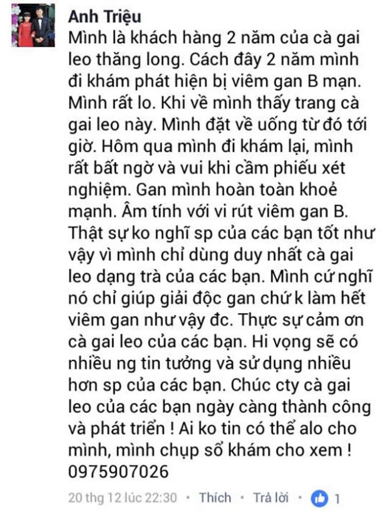 Cà gai leo SADU