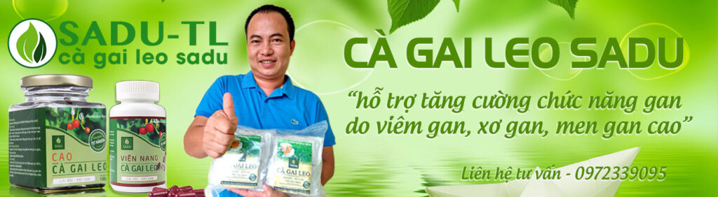 Cà gai leo SADU