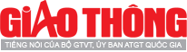 Cà gai leo SADU