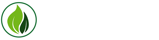 Cà gai leo SADU