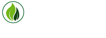 Cà gai leo SADU